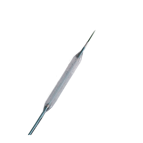 Paclitaxel Coated PTCA Balloon Catheter